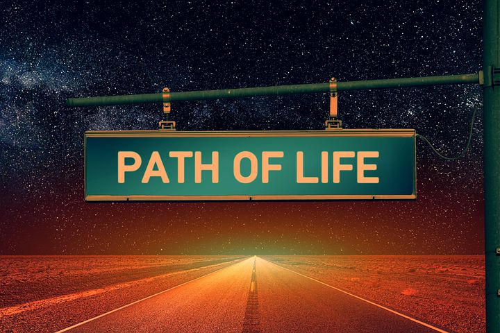 Understanding the Life Path Number 7