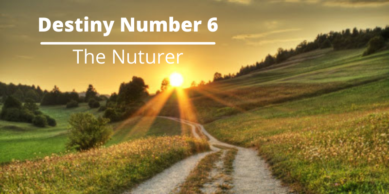 number 6 - the nurturer