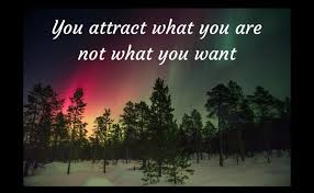you attract what you are not what you want