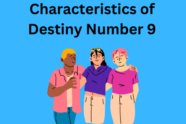 Characteristics of Destiny Number 9