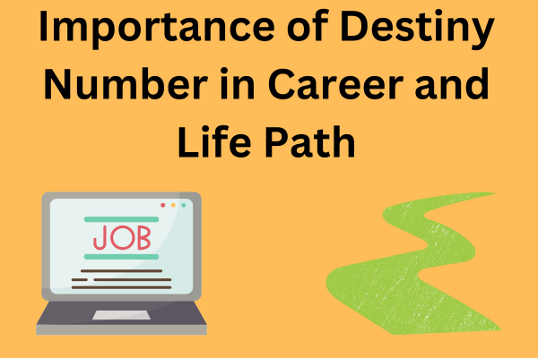 Importance in Career and Life Path