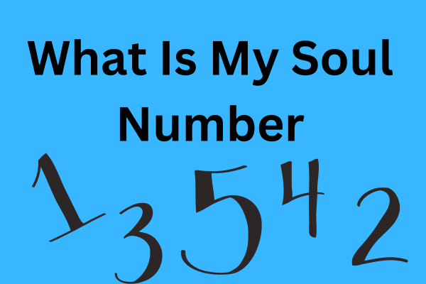 What Is My Soul Number