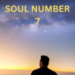 Soul Number 7