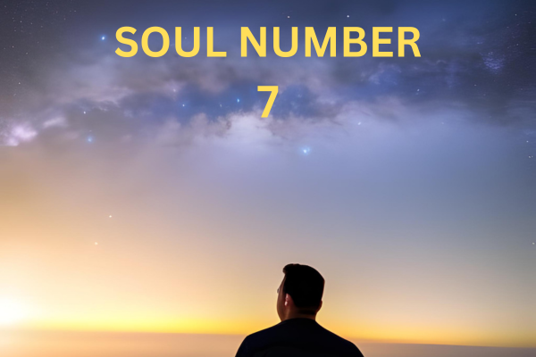 Soul Number 7