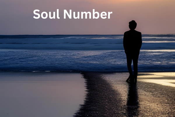 Soul Number