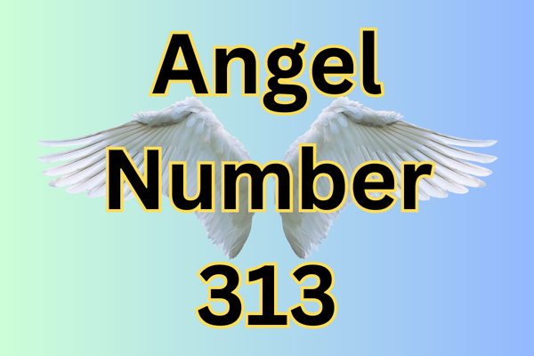 Angel Number 313