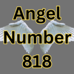 Angel Number 818