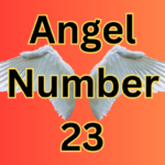 Angel Number 23