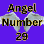 Angel Number 29