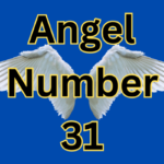Angel Number 31