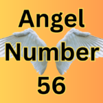 Angel Number 56